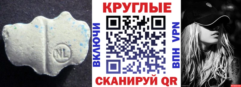 MEGA ССЫЛКА  Новозыбков  Ecstasy Philipp Plein 